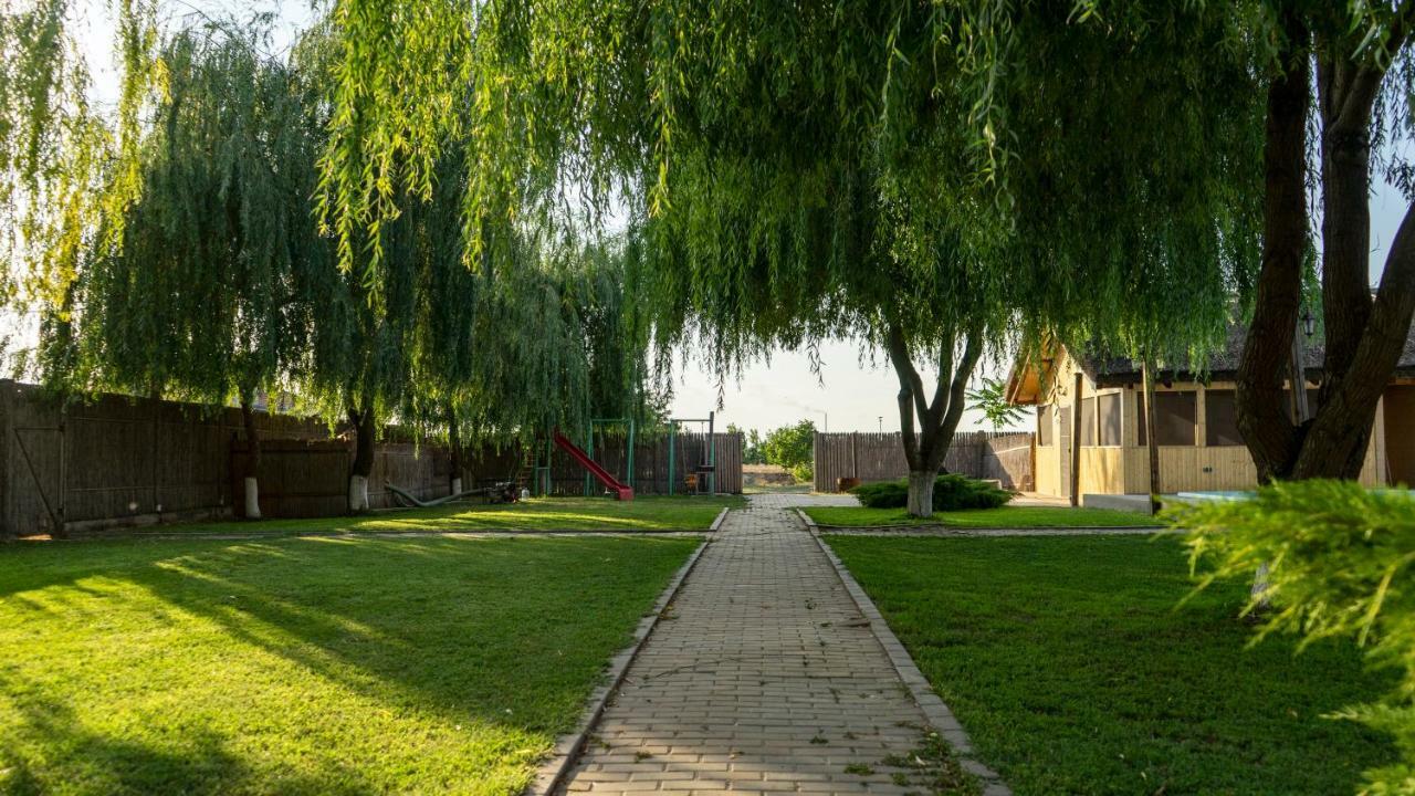 فندق Califarul Alb Chilia Veche المظهر الخارجي الصورة
