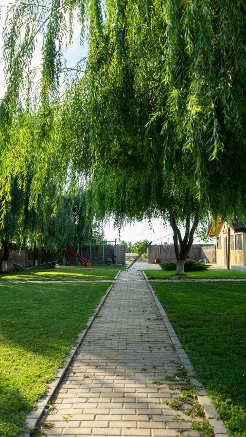 فندق Califarul Alb Chilia Veche المظهر الخارجي الصورة